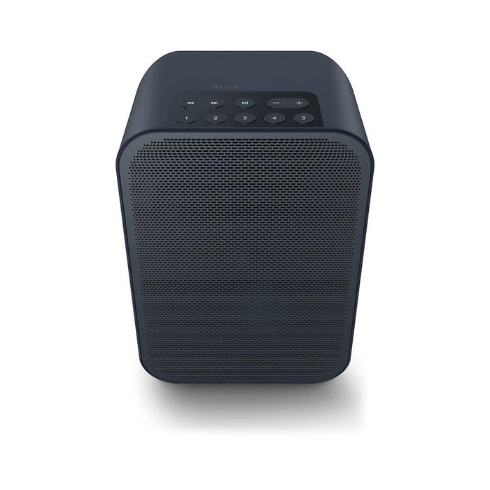 Bluesound PULSE FLEX 2i | Haut-parleur de diffusion multi-pièces - Sans fil - Portable - Bluetooth - Noir-Sonxplus St-Sauveur