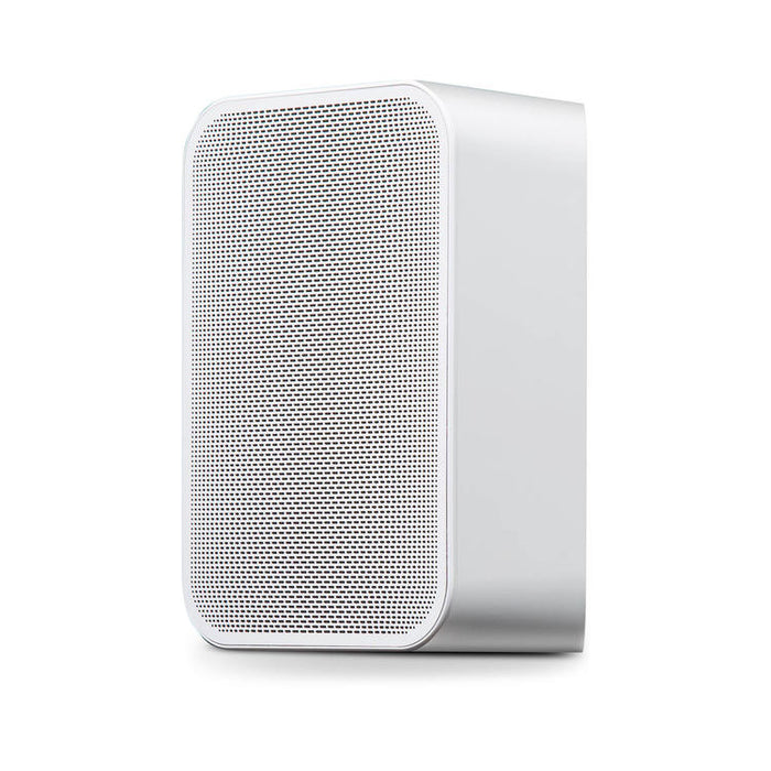 Bluesound PULSE FLEX 2i | Haut-parleur de diffusion multi-pièces - Sans fil - Portable - Bluetooth - Blanc-Sonxplus St-Sauveur