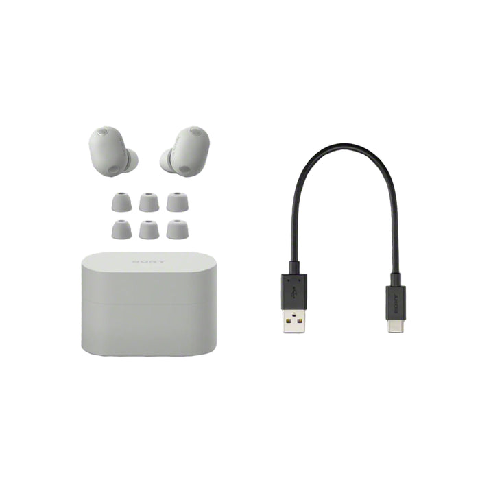 Sony WF-1000XM6 | In-ear headphones - Up to 24 hours of battery life - Platinum Silver-Sonxplus St-Sauveur